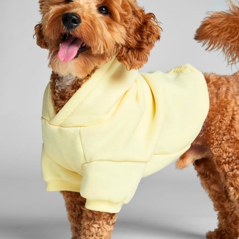 Comfrt Minimalist Paw Hoodie; Large